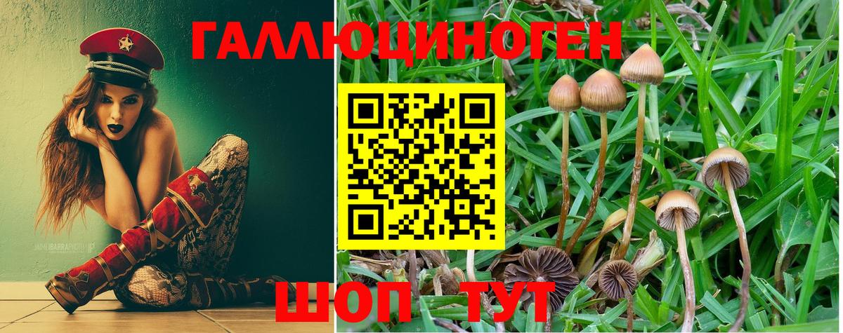 Псилоцибиновые грибы Magic Shrooms Усолье-Сибирское