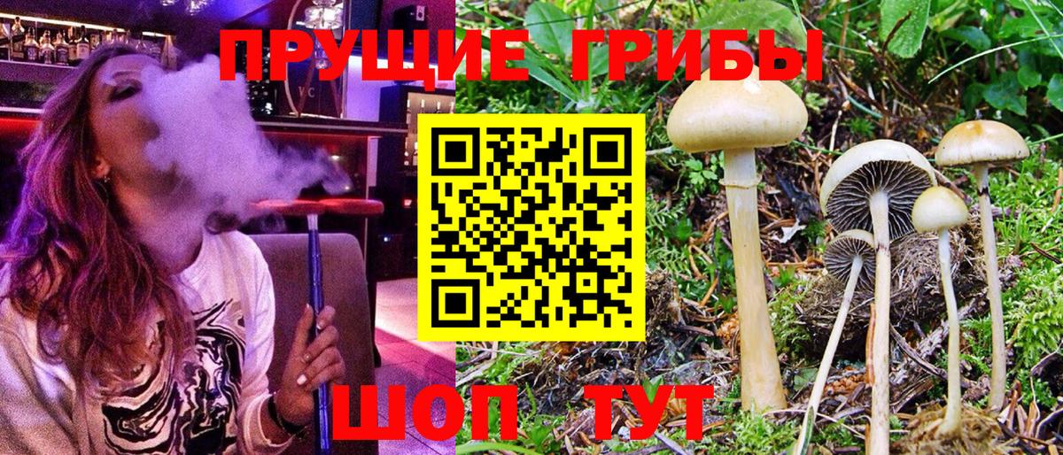 Галлюциногенные грибы Psilocybine cubensis  Галлюциногенные грибы ЛСД  Вход с VPN  Усолье-Сибирское 